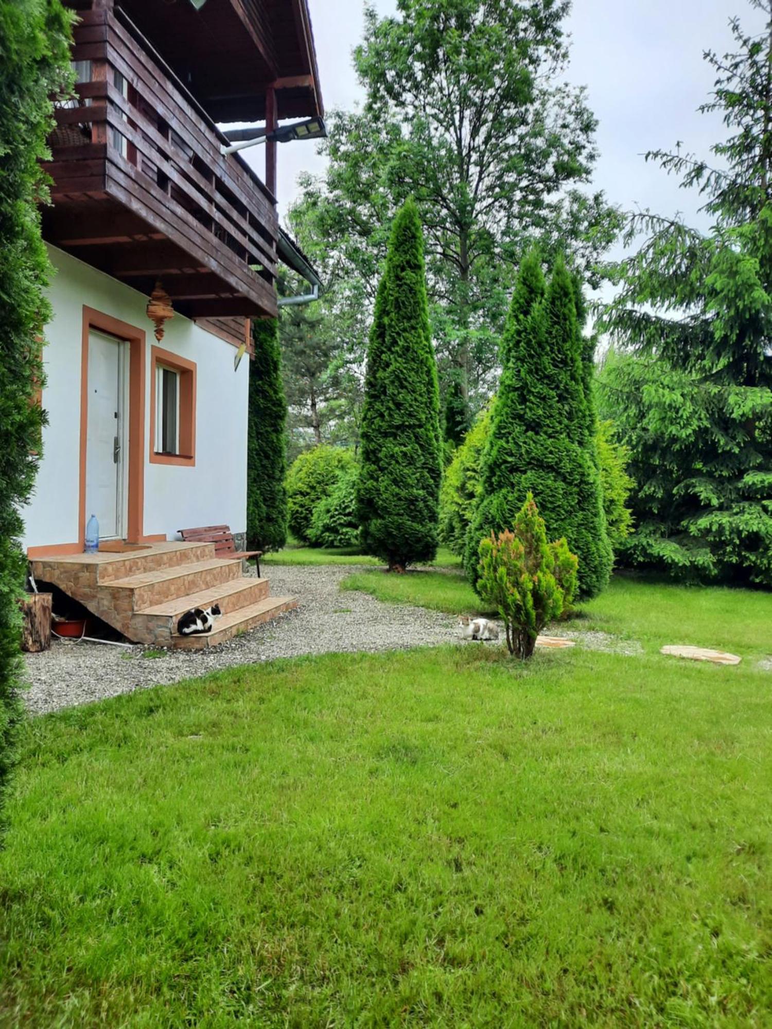 Villa Colt De Rai Bran  Exterior foto